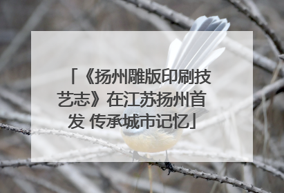 《扬州雕版印刷技艺志》在江苏扬州首发 传承城市记忆