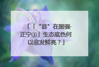 「“县”在图强·正宁③」生态底色何以愈发鲜亮？