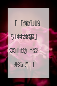「俺们的驻村故事」深山坳“变形记”