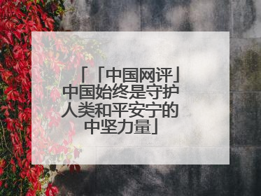 「中国网评」中国始终是守护人类和平安宁的中坚力量