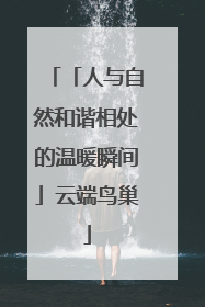 「人与自然和谐相处的温暖瞬间」云端鸟巢