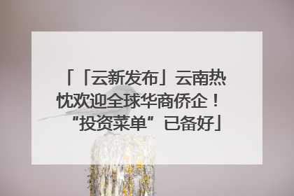 「云新发布」云南热忱欢迎全球华商侨企！“投资菜单”已备好