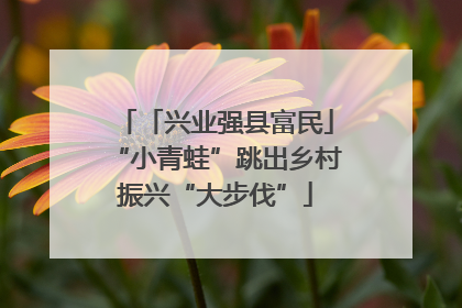 「兴业强县富民」“小青蛙”跳出乡村振兴“大步伐”