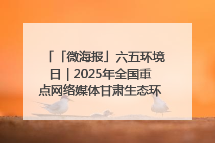 「微海报」六五环境日｜2025年全国重点网络媒体甘肃生态环保行走进兰州新区
