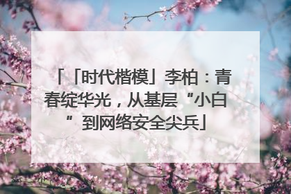 「时代楷模」李柏：青春绽华光，从基层“小白”到网络安全尖兵