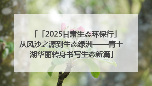 「2025甘肃生态环保行」从风沙之源到生态绿洲——青土湖华丽转身书写生态新篇
