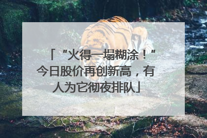 “火得一塌糊涂！”今日股价再创新高，有人为它彻夜排队