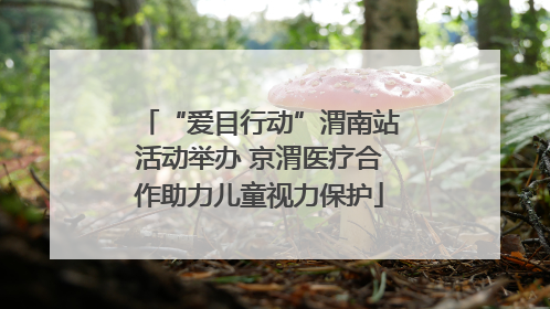 “爱目行动”渭南站活动举办 京渭医疗合作助力儿童视力保护