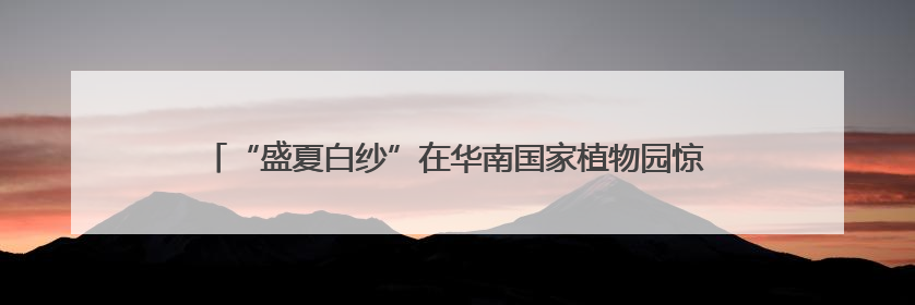 “盛夏白纱”在华南国家植物园惊艳绽放！海杧果迎来最佳观赏期