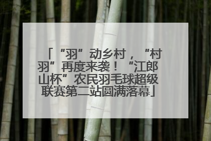 “羽”动乡村，“村羽”再度来袭！“江郎山杯”农民羽毛球超级联赛第二站圆满落幕