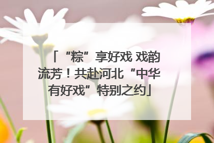 “粽”享好戏 戏韵流芳！共赴河北“中华有好戏”特别之约
