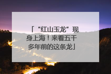 “红山玉龙”现身上海！来看五千多年前的这条龙