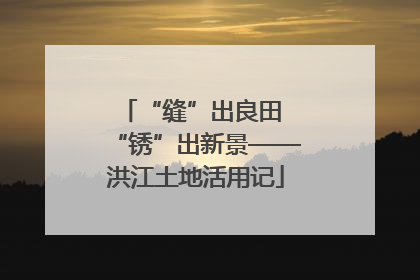 “缝”出良田 “锈”出新景——洪江土地活用记