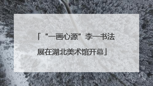 “一画心源”李一书法展在湖北美术馆开幕