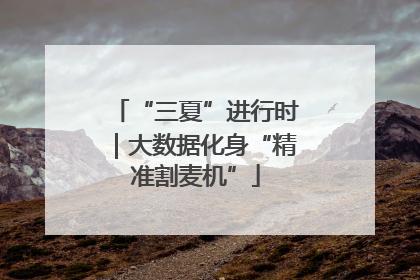 “三夏”进行时｜大数据化身“精准割麦机”