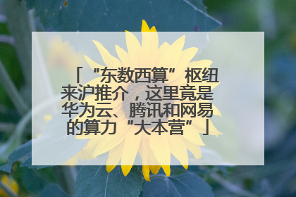 “东数西算”枢纽来沪推介，这里竟是华为云、腾讯和网易的算力“大本营”