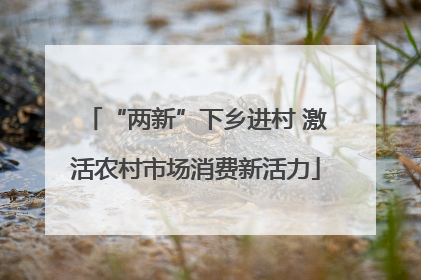 “两新”下乡进村 激活农村市场消费新活力