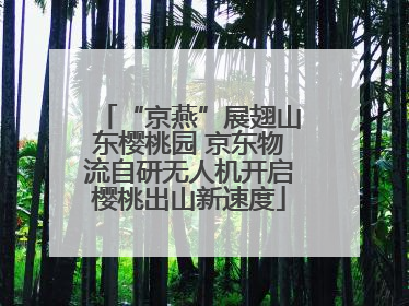 “京燕”展翅山东樱桃园 京东物流自研无人机开启樱桃出山新速度