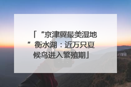 “京津冀最美湿地”衡水湖：近万只夏候鸟进入繁殖期
