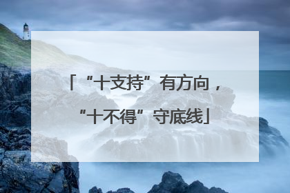 “十支持”有方向，“十不得”守底线