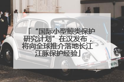 “国际小型鲸类保护研究计划”在汉发布，将向全球推介落地长江江豚保护经验