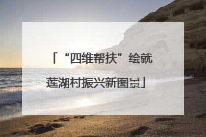 “四维帮扶”绘就莲湖村振兴新图景