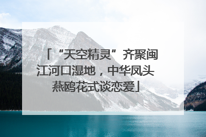 “天空精灵”齐聚闽江河口湿地，中华凤头燕鸥花式谈恋爱