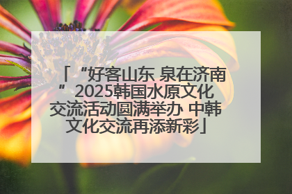 “好客山东 泉在济南”2025韩国水原文化交流活动圆满举办 中韩文化交流再添新彩