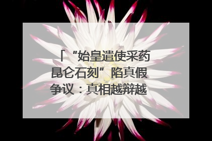 “始皇遣使采药昆仑石刻”陷真假争议：真相越辩越明｜新京报专栏