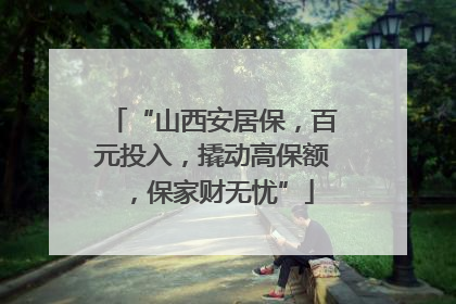 “山西安居保，百元投入，撬动高保额，保家财无忧”