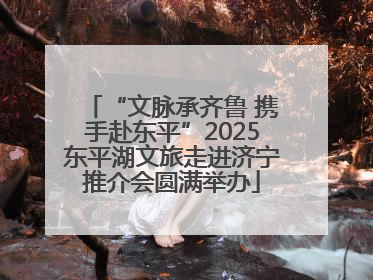 “文脉承齐鲁 携手赴东平”2025东平湖文旅走进济宁推介会圆满举办