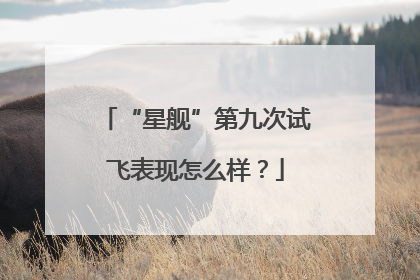 “星舰”第九次试飞表现怎么样？