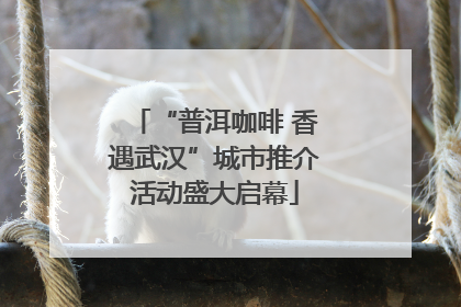 “普洱咖啡 香遇武汉”城市推介活动盛大启幕