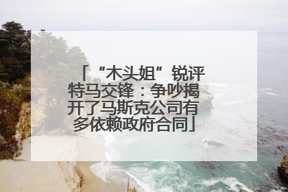 “木头姐”锐评特马交锋：争吵揭开了马斯克公司有多依赖政府合同