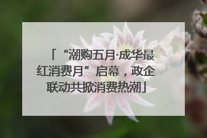 “潮购五月·成华最红消费月”启幕，政企联动共掀消费热潮