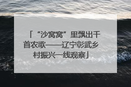 “沙窝窝”里飘出千首农歌——辽宁彰武乡村振兴一线观察