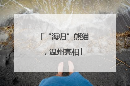 “海归”熊猫，温州亮相