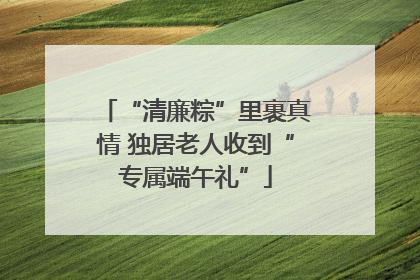 “清廉粽”里裹真情 独居老人收到“专属端午礼”