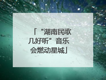 “湖南民歌几好听”音乐会燃动星城