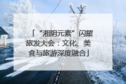 “湘阴元素”闪耀旅发大会：文化、美食与旅游深度融合