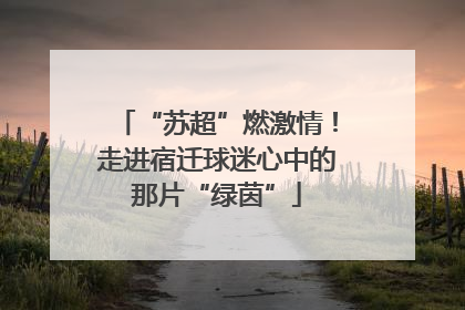 “苏超”燃激情！走进宿迁球迷心中的那片“绿茵”