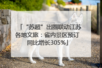 “苏超”出圈联动江苏各地文旅：省内景区预订同比增长305%