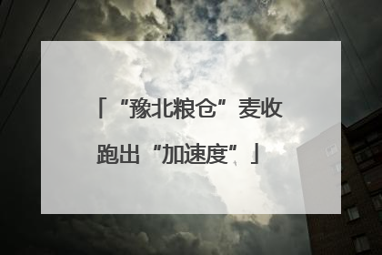 “豫北粮仓”麦收跑出“加速度”