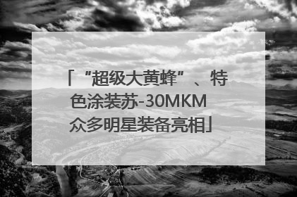 “超级大黄蜂”、特色涂装苏-30MKM 众多明星装备亮相