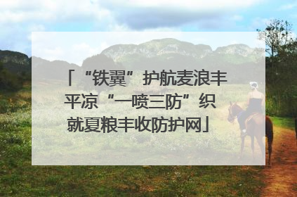 “铁翼”护航麦浪丰 平凉“一喷三防”织就夏粮丰收防护网