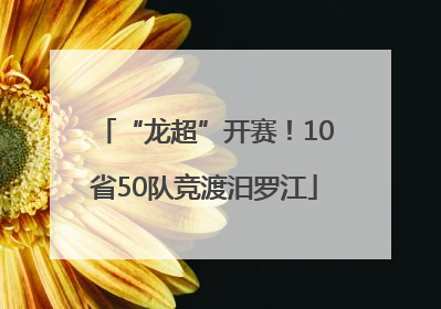 “龙超”开赛！10省50队竞渡汨罗江