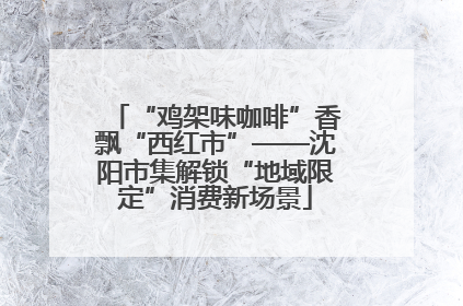 “鸡架味咖啡”香飘“西红市”——沈阳市集解锁“地域限定”消费新场景