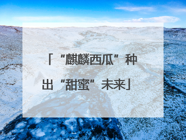“麒麟西瓜”种出“甜蜜”未来