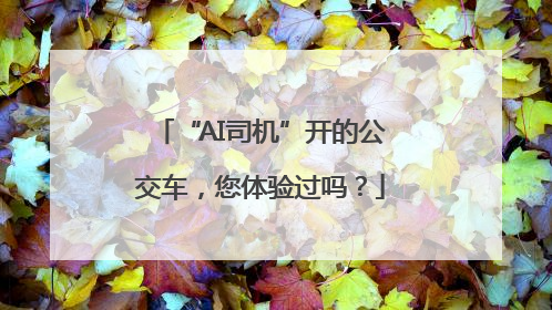 “AI司机”开的公交车，您体验过吗？