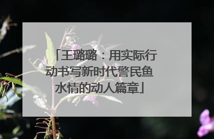 王璐璐：用实际行动书写新时代警民鱼水情的动人篇章